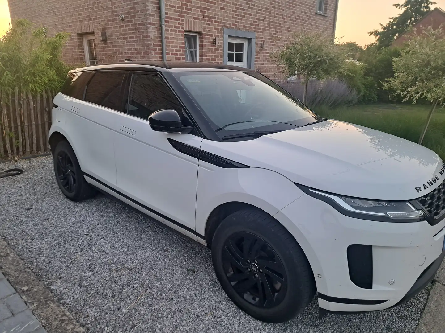Land Rover Range Rover Evoque Evoque 2.0 TD4 MHEV 2WD D165 Blanc - 1