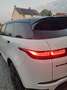 Land Rover Range Rover Evoque Evoque 2.0 TD4 MHEV 2WD D165 Blanc - thumbnail 5