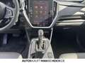 Subaru Impreza 2.0ie Platinum AT LED LEDER NAV SH CAM Grau - thumbnail 10