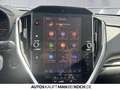 Subaru Impreza 2.0ie Platinum AT LED LEDER NAV SH CAM Grau - thumbnail 12