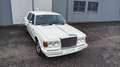 Bentley Eight Bianco - thumbnail 6