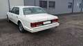 Bentley Eight Bianco - thumbnail 3