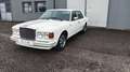 Bentley Eight Bianco - thumbnail 1