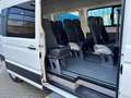 Volkswagen Crafter Bus M2 Trendl. 16+1 Sitzer 4490mm Bianco - thumbnail 1