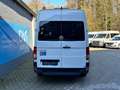 Volkswagen Crafter Bus M2 Trendl. 16+1 Sitzer 4490mm Blanc - thumbnail 17