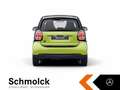 smart forTwo fortwo EQ EXCLUSIVE+22KW+LED+PANO+KAMERA+GJR+SHZ Grün - thumbnail 7