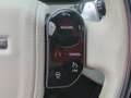Land Rover Range Rover Velar R-Dynamic D300*StndHzg Luftfed Grau - thumbnail 14