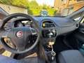Fiat Punto Punto III 2012 5p 1.3 mjt 16v Street (easy) 75cv Bianco - thumbnail 7