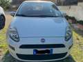 Fiat Punto Punto III 2012 5p 1.3 mjt 16v Street (easy) 75cv Bianco - thumbnail 3