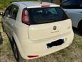 Fiat Punto Punto III 2012 5p 1.3 mjt 16v Street (easy) 75cv Bianco - thumbnail 4