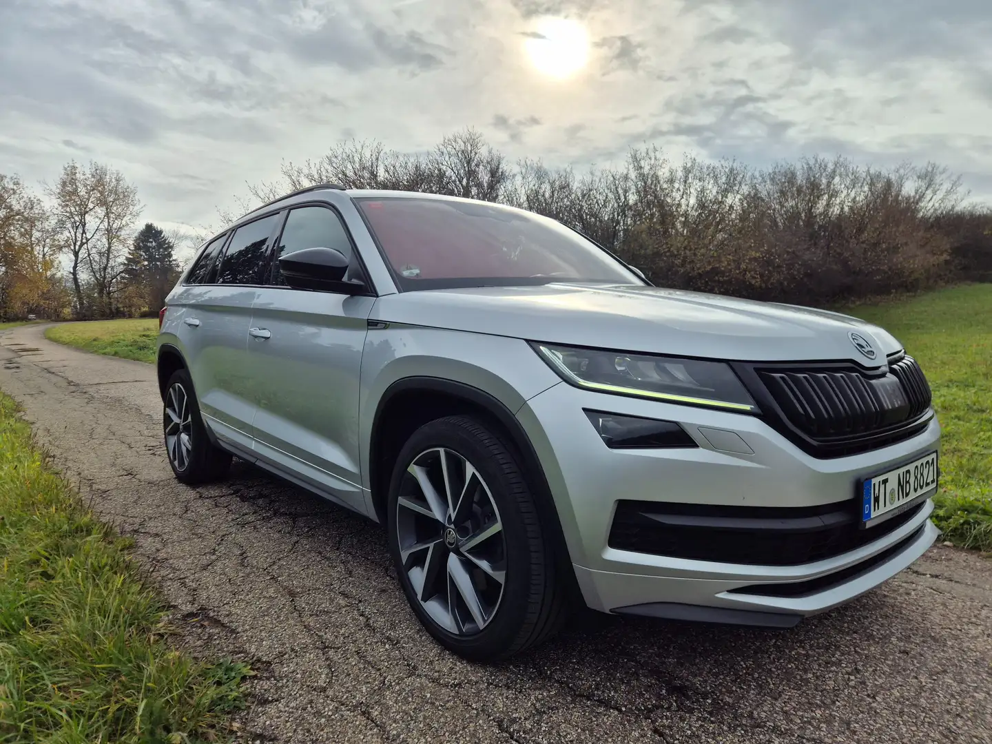 Skoda Kodiaq Kodiaq 2.0 TDI 4x4 DSG Sportline Silber - 1