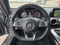 Mercedes-Benz AMG GT GT AMG Gris - thumbnail 10