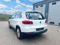 Volkswagen Tiguan Life BMT 1 Hand Rentner Weiß - thumbnail 6