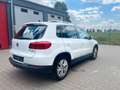 Volkswagen Tiguan Life BMT 1 Hand Rentner Weiß - thumbnail 9