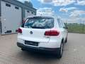 Volkswagen Tiguan Life BMT 1 Hand Rentner Weiß - thumbnail 8