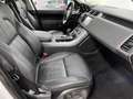 Land Rover Range Rover Sport 3.0 I6 MHEV HSE Aut. - thumbnail 6