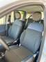 Fiat Panda Panda 1.0 Firefly S&S Hibryd CityCross Grau - thumbnail 5