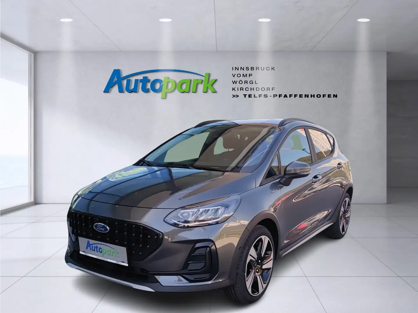 Ford Fiesta Active X Gris - 1