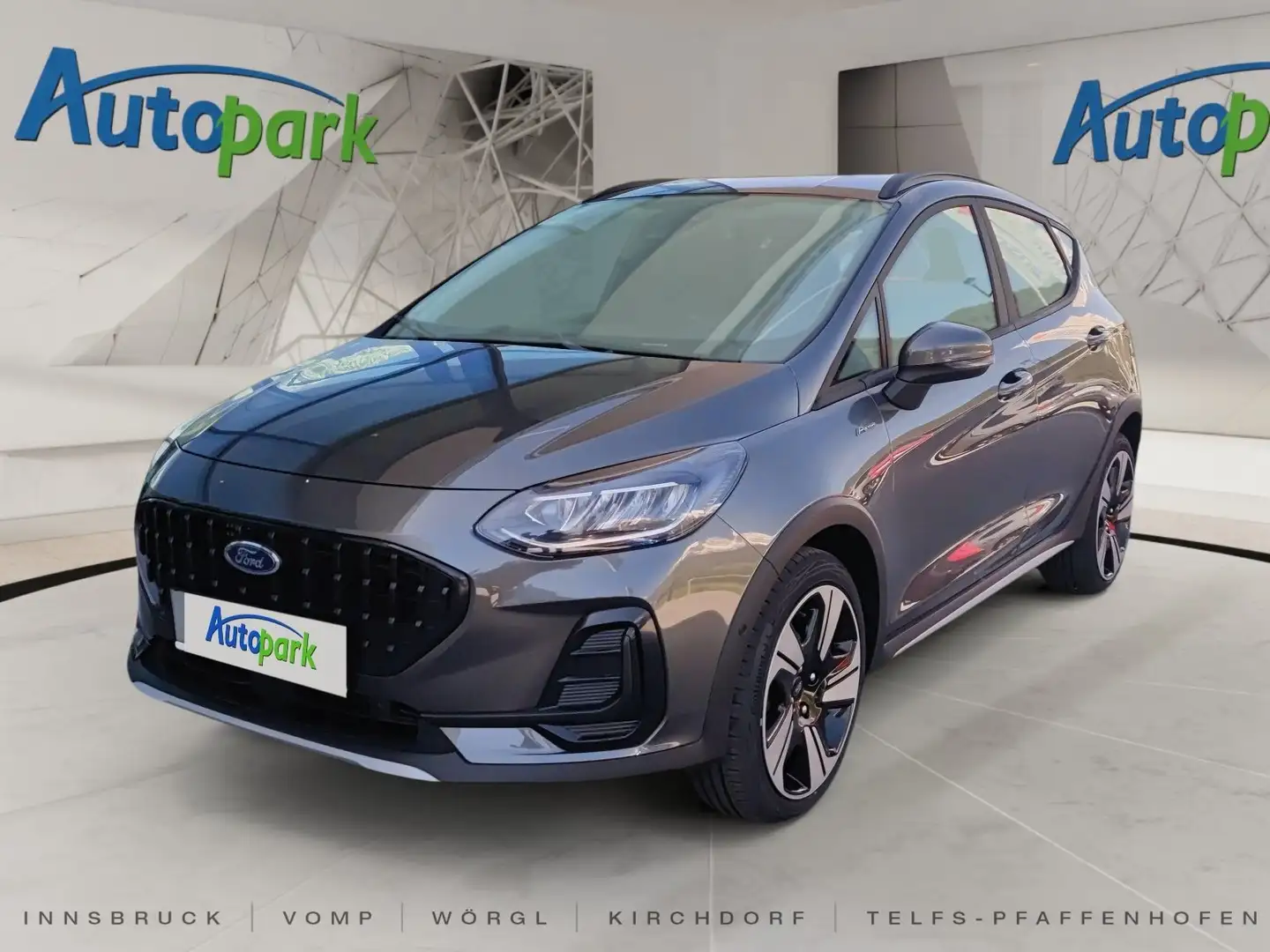 Ford Fiesta Active X Grigio - 1