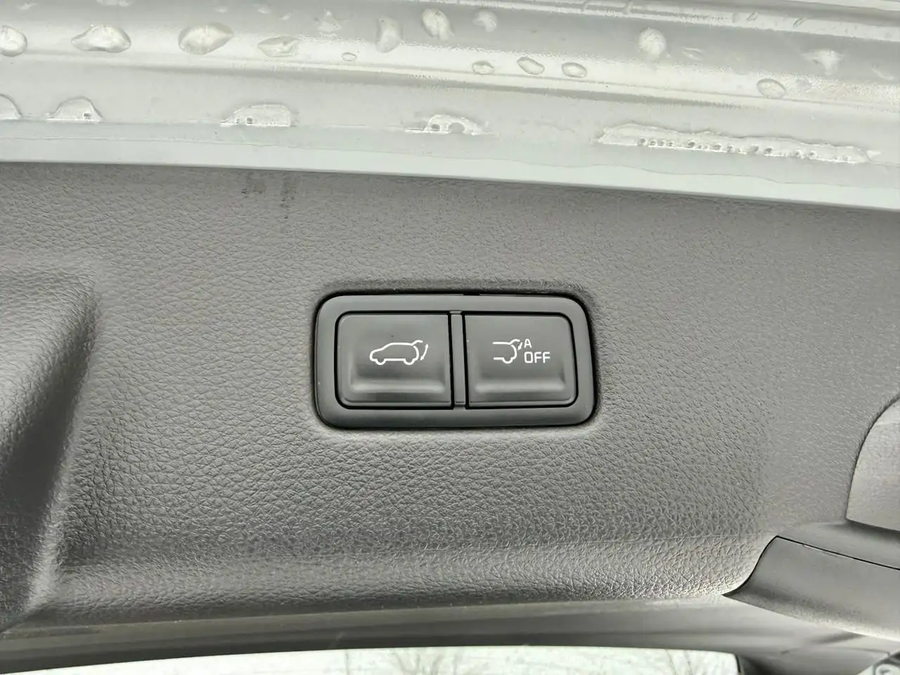 Kia Carnival снимка Kia Carnival