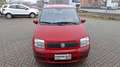 Fiat Panda 1.2 BEN- METANO  MOTORE SOSTITUITO Rouge - thumbnail 7