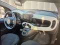 Fiat New Panda Pandina 1.0 70cv CROSS NERA O BIANCA PRONTA CONS. Noir - thumbnail 9