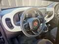 Fiat New Panda Pandina 1.0 70cv CROSS NERA O BIANCA PRONTA CONS. Noir - thumbnail 11