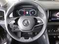 Skoda Karoq 4x4 Selection TDI DSG Schwarz - thumbnail 9