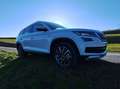 Skoda Kodiaq Kodiaq 2,0 TDI SCR 4x4 Scout DSG Scout Weiß - thumbnail 7