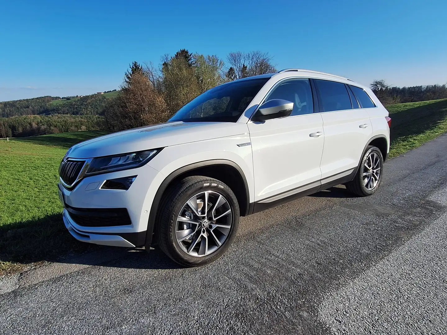 Skoda Kodiaq Kodiaq 2,0 TDI SCR 4x4 Scout DSG Scout Weiß - 1
