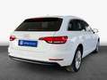 Audi A4 Avant 2.0 TDI S Tronic Design Leder Sitzbelüftu Weiß - thumbnail 2