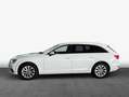 Audi A4 Avant 2.0 TDI S Tronic Design Leder Sitzbelüftu Weiß - thumbnail 4