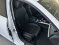 Audi A4 Avant 2.0 TDI S Tronic Design Leder Sitzbelüftu Weiß - thumbnail 15