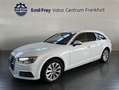 Audi A4 Avant 2.0 TDI S Tronic Design Leder Sitzbelüftu Bianco - thumbnail 14