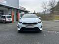 Kia Ceed / cee'd Sportswagon GOLD 1.5 T-GDI Automatik Navi Klimaaut Blanc - thumbnail 17
