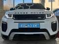 Land Rover Range Rover Evoque Pure PICKERL NEU SERVICE NEU Weiß - thumbnail 2