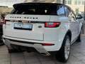 Land Rover Range Rover Evoque Pure PICKERL NEU SERVICE NEU Weiß - thumbnail 6