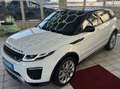 Land Rover Range Rover Evoque Pure PICKERL NEU SERVICE NEU Weiß - thumbnail 4