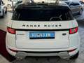 Land Rover Range Rover Evoque Pure PICKERL NEU SERVICE NEU Weiß - thumbnail 9