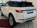 Land Rover Range Rover Evoque Pure PICKERL NEU SERVICE NEU Weiß - thumbnail 7