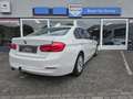BMW 316 3-serie 316d Centennial Executive Wit - thumbnail 7
