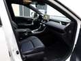 Toyota RAV 4 2.5 Hybrid Bi-Tone | Panoramadak | JBL Audio | Tre Weiß - thumbnail 12