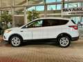 Ford Kuga Trend 1.5+Parkpilot+Winter-Paket+CD Weiß - thumbnail 5