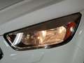 Ford Kuga Trend 1.5+Parkpilot+Winter-Paket+CD Weiß - thumbnail 3