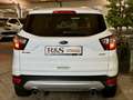 Ford Kuga Trend 1.5+Parkpilot+Winter-Paket+CD Weiß - thumbnail 7