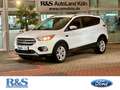 Ford Kuga Trend 1.5+Parkpilot+Winter-Paket+CD Weiß - thumbnail 1