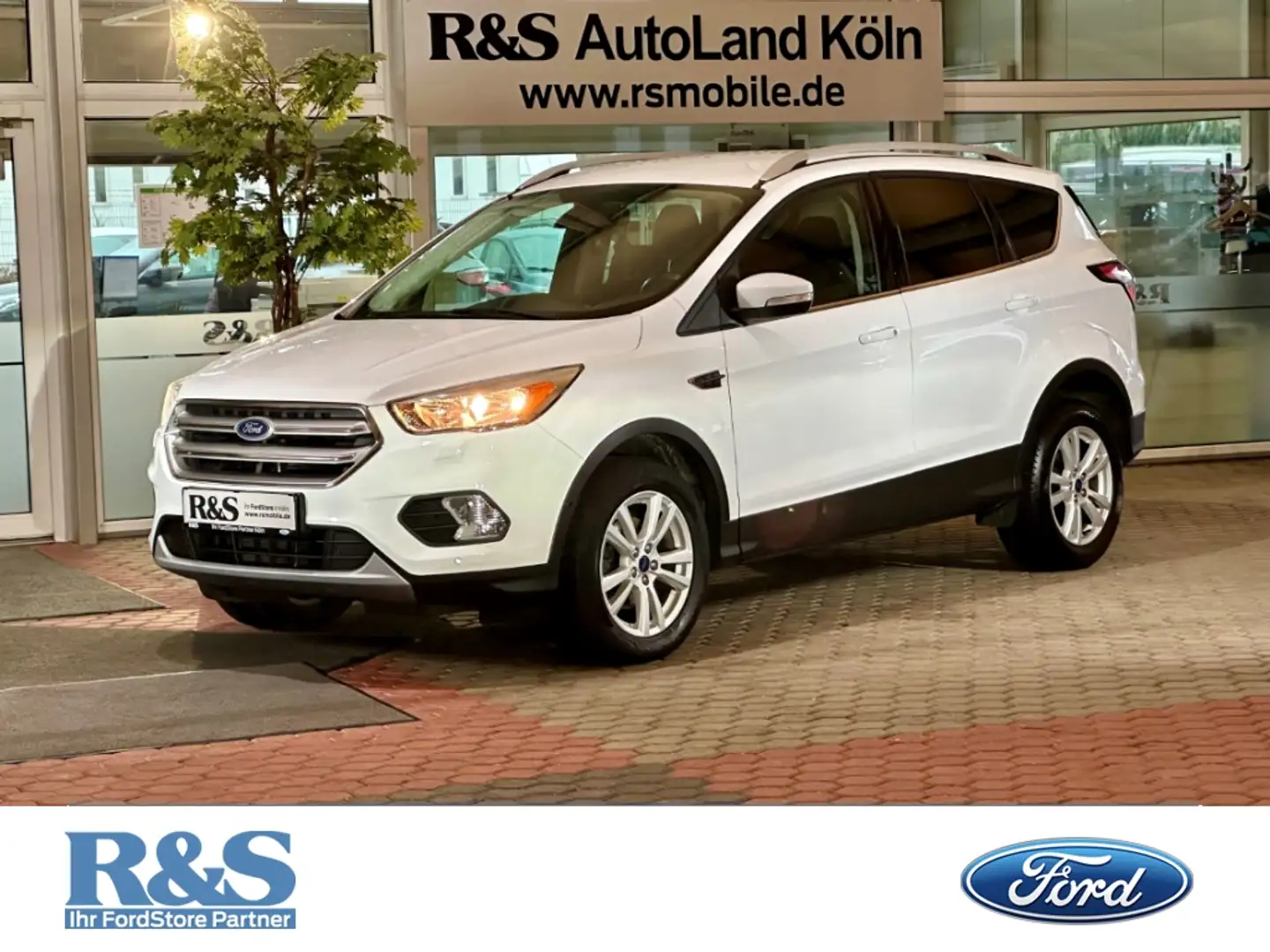 Ford Kuga Trend 1.5+Parkpilot+Winter-Paket+CD Weiß - 1