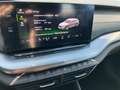Skoda Octavia Ambition TDI Weiß - thumbnail 15