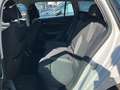 Skoda Octavia Ambition TDI Weiß - thumbnail 16