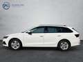Skoda Octavia Ambition TDI Weiß - thumbnail 4
